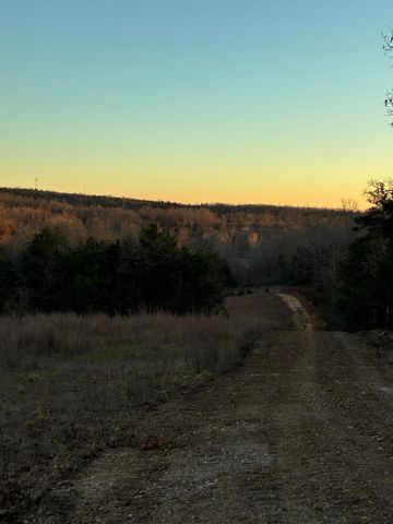 4118 County Road 905, Theodosia, MO 65761