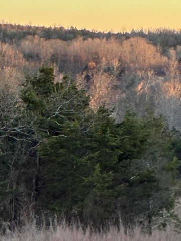 4118 County Road 905, Theodosia, MO 65761