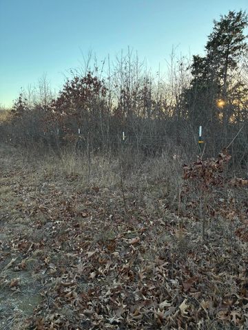 4118 County Road 905, Theodosia, MO 65761