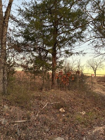 4118 County Road 905, Theodosia, MO 65761