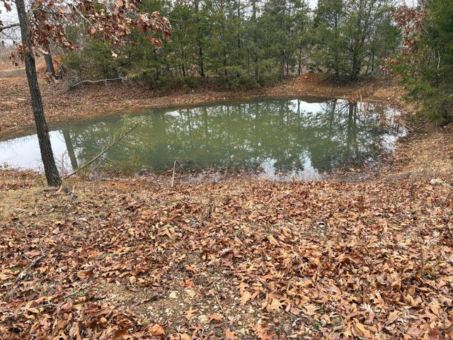 4118 County Road 905, Theodosia, MO 65761