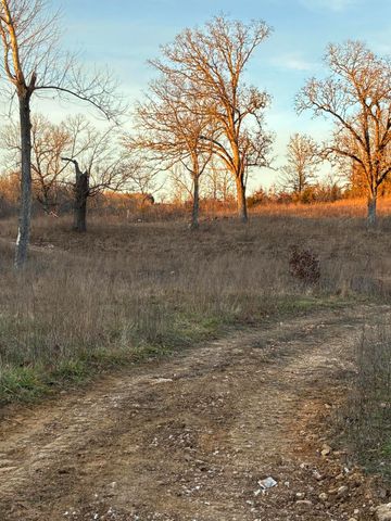 4118 County Road 905, Theodosia, MO 65761