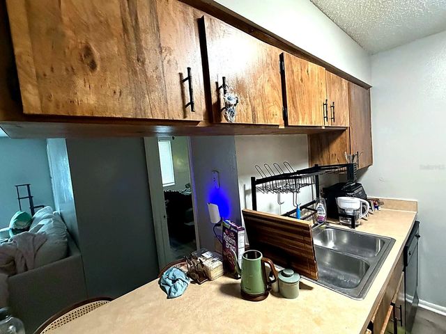 228 THORN TREE PLACE 228, Brandon, FL 33510