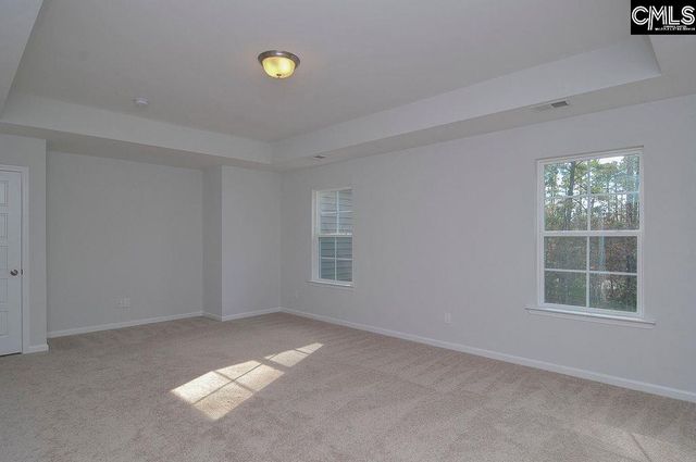 356 Hollow Cove Road, Chapin, SC 29036