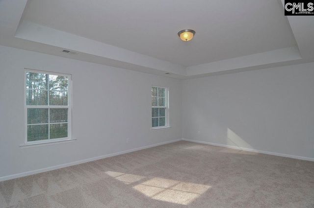 356 Hollow Cove Road, Chapin, SC 29036