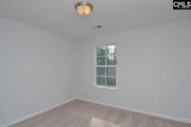356 Hollow Cove Road, Chapin, SC 29036