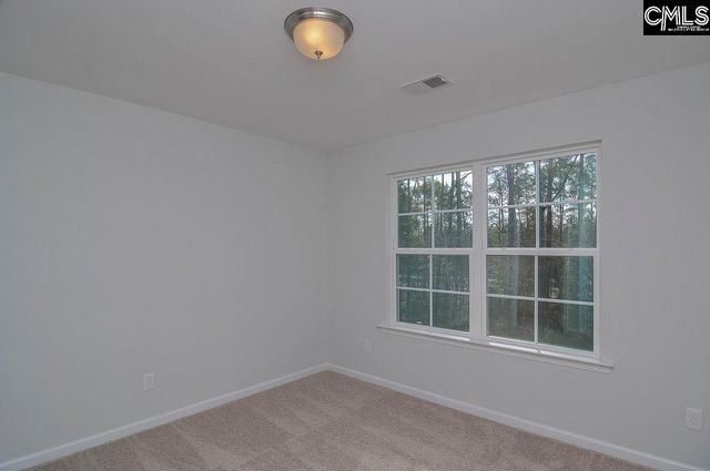 356 Hollow Cove Road, Chapin, SC 29036