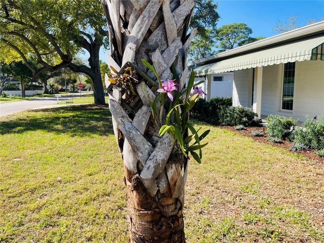 1330 S JEFFERSON AVENUE, Sarasota, FL 34239