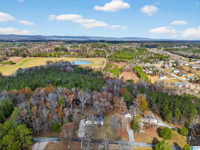 5002 LEONARD DRIVE, Hokes Bluff, AL 35903