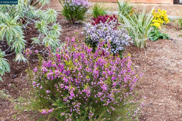 1651 Green Valley Rd., Danville, CA 94526