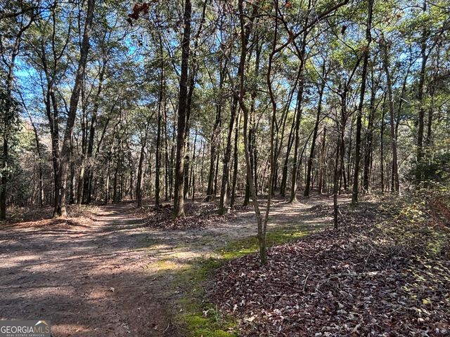 115 Woody Drive, Perry, GA 31069