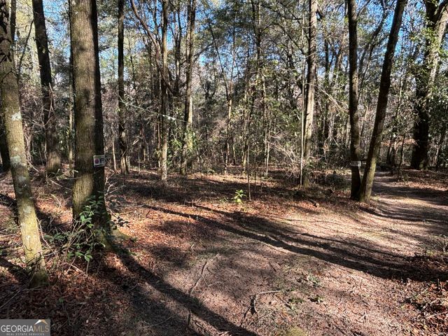 115 Woody Drive, Perry, GA 31069