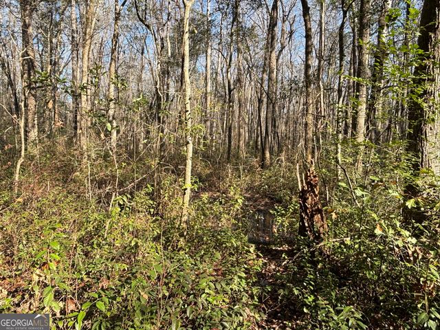 115 Woody Drive, Perry, GA 31069