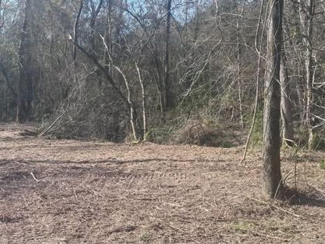 1-0001 County Road 2235, Cleveland, TX 77327