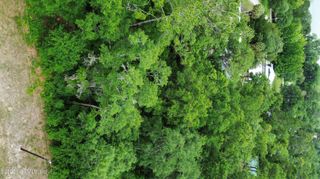 417 HILLSBOROUGH Avenue, Florahome, FL 32140