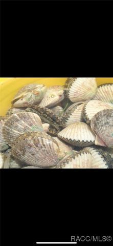 11580 W Bayshore Drive, Crystal River, FL 34429