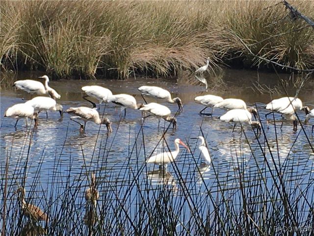 11580 W Bayshore Drive, Crystal River, FL 34429