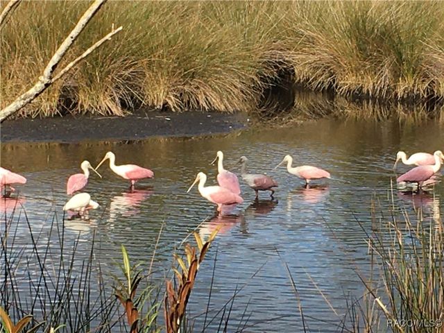 11580 W Bayshore Drive, Crystal River, FL 34429