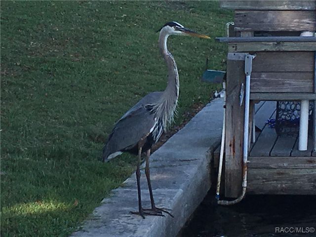 11580 W Bayshore Drive, Crystal River, FL 34429