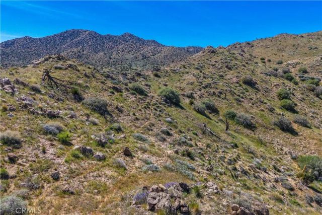 58215 Santa Barbara, Yucca Valley, CA 92284