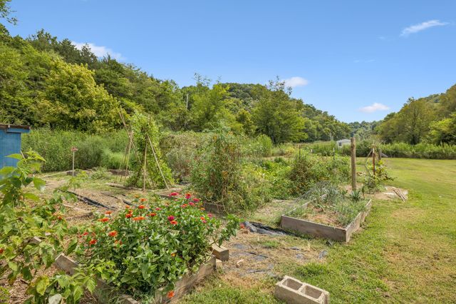 860 Golden Hollow Rd, Dixon Springs, TN 37057