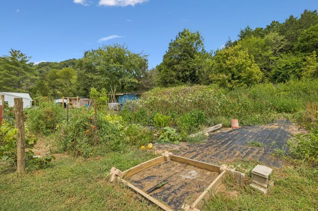 860 Golden Hollow Rd, Dixon Springs, TN 37057