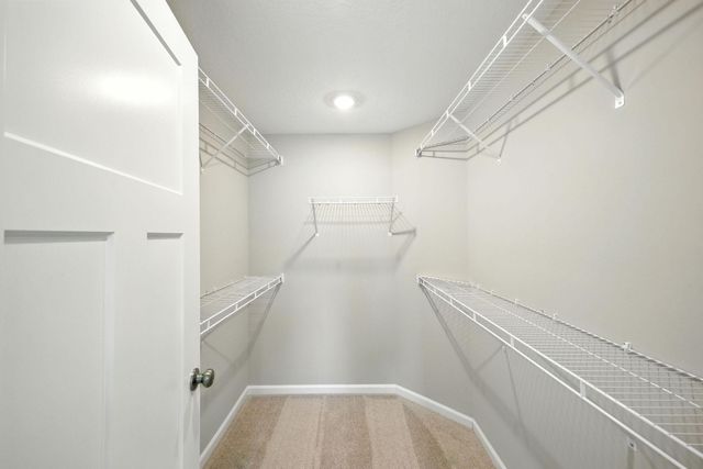 8005 Xyloid Lane, Corcoran, MN 55340