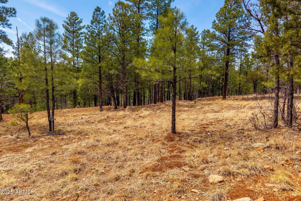 Image 12 of property listing at 2526 WELL WATER Road 322, Happy Jack, AZ 86024