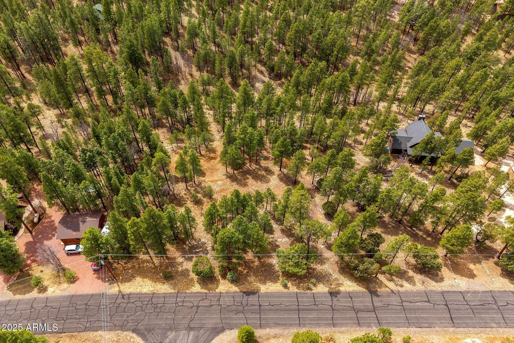 Image 13 of property listing at 2526 WELL WATER Road 322, Happy Jack, AZ 86024