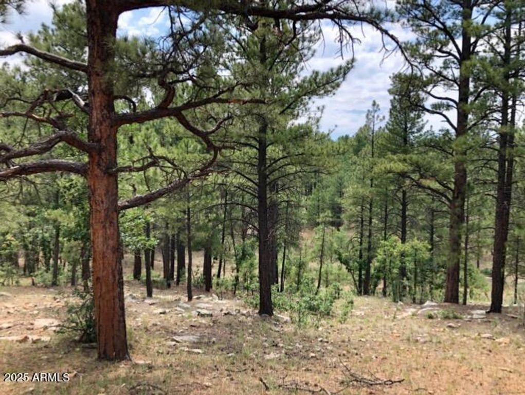 Image 15 of property listing at 2526 WELL WATER Road 322, Happy Jack, AZ 86024