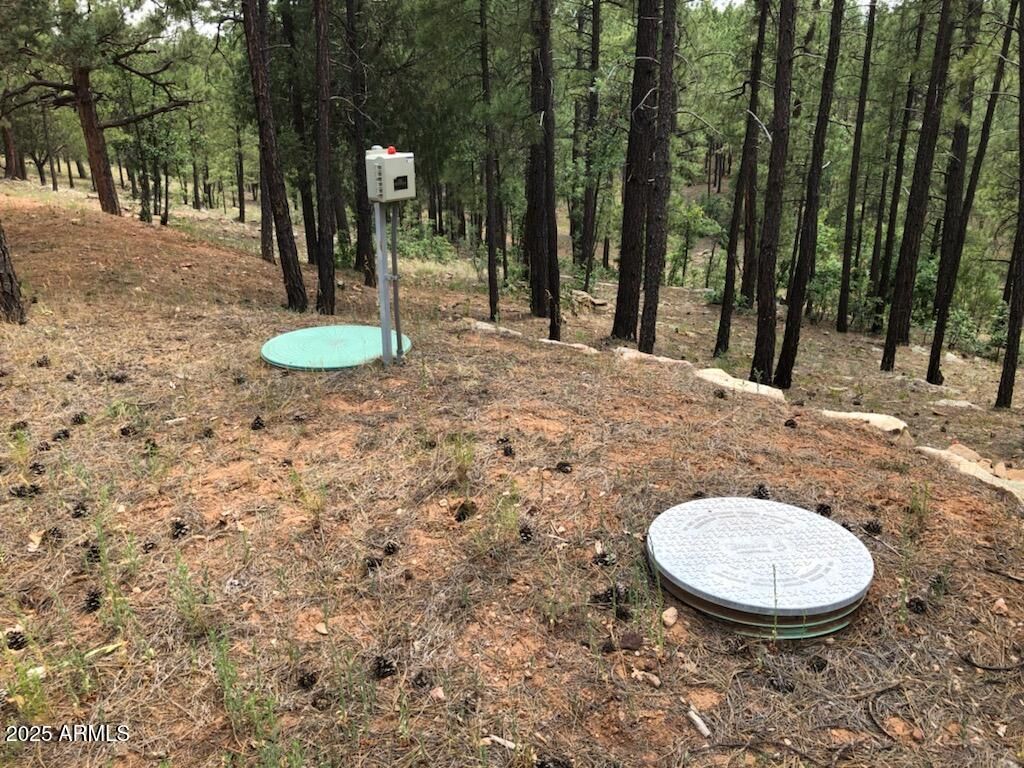 Image 3 of property listing at 2526 WELL WATER Road 322, Happy Jack, AZ 86024