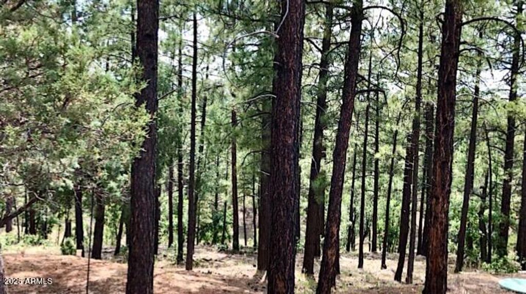 Image 4 of property listing at 2526 WELL WATER Road 322, Happy Jack, AZ 86024