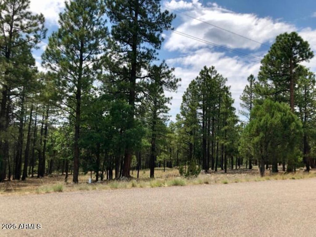 Image 5 of property listing at 2526 WELL WATER Road 322, Happy Jack, AZ 86024