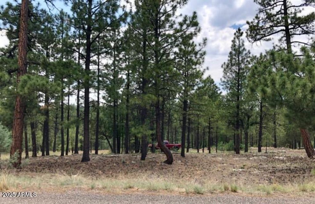 Image 6 of property listing at 2526 WELL WATER Road 322, Happy Jack, AZ 86024