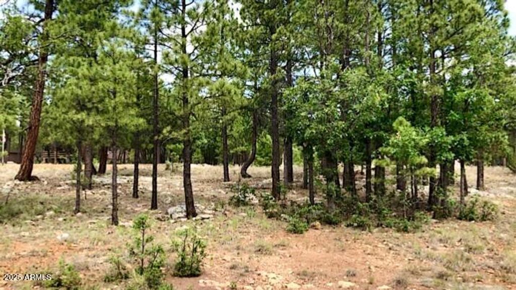 Image 7 of property listing at 2526 WELL WATER Road 322, Happy Jack, AZ 86024