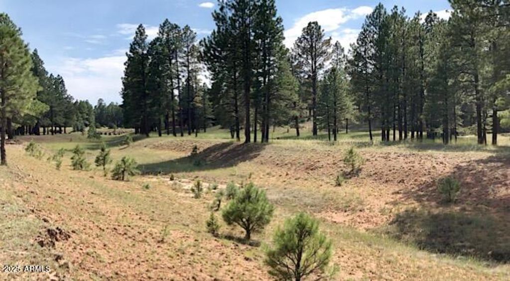 Image 8 of property listing at 2526 WELL WATER Road 322, Happy Jack, AZ 86024