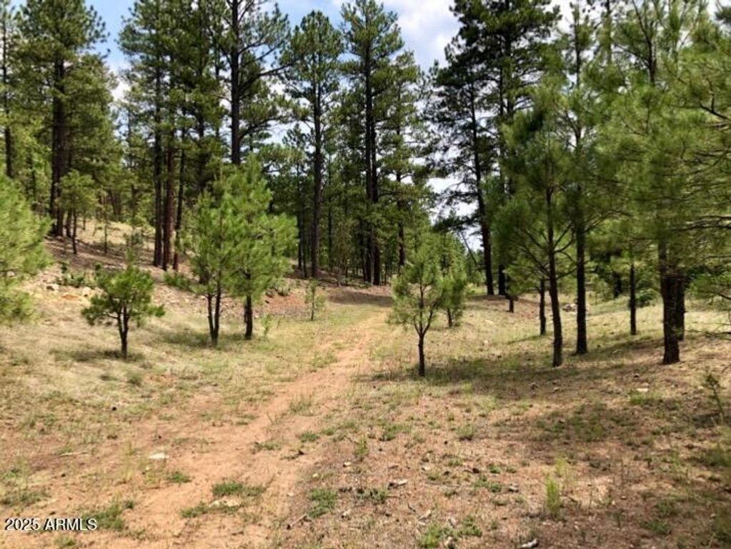 Image 9 of property listing at 2526 WELL WATER Road 322, Happy Jack, AZ 86024