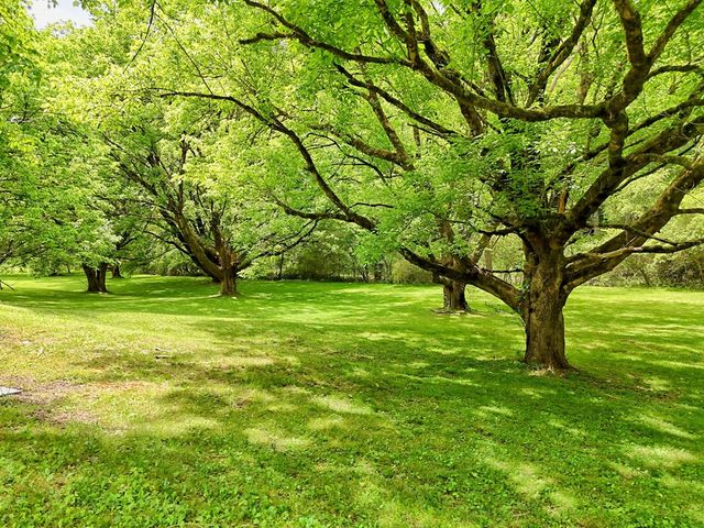 257 Brandus Drive, Hayesville, NC 28904