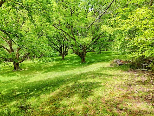 257 Brandus Drive, Hayesville, NC 28904