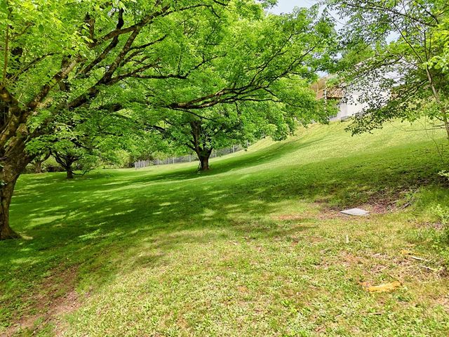 257 Brandus Drive, Hayesville, NC 28904