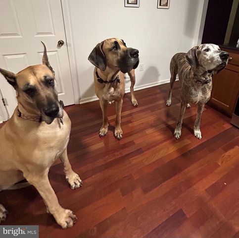 736 ANNAPOLIS DR, Ruther Glen, VA 22546