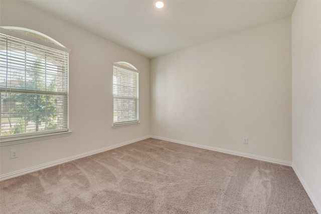 1404 Forest Haven Drive, Anna, TX 75409