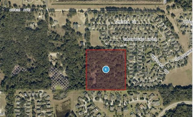 3016 ROBIE AVENUE, Mount Dora, FL 32757