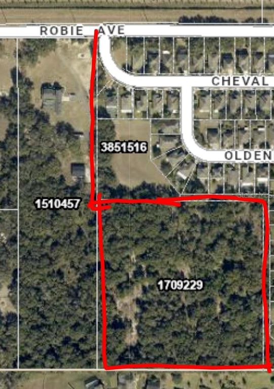 3016 ROBIE AVENUE, Mount Dora, FL 32757