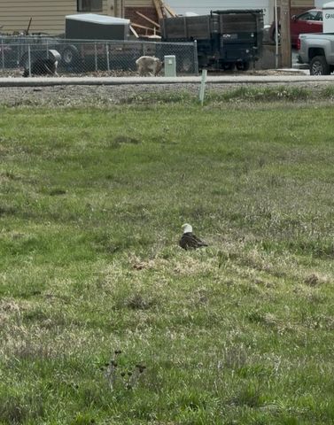 21913 N MEADOWVIEW Dr, Colbert, WA 99005