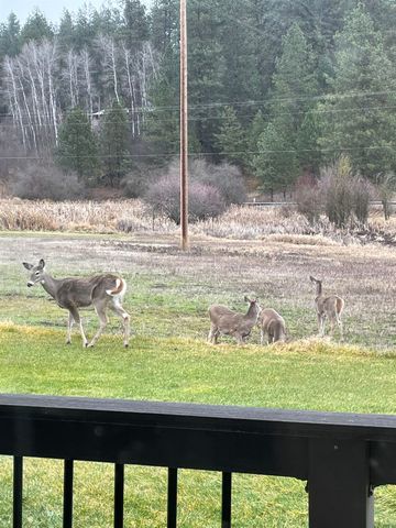 21913 N MEADOWVIEW Dr, Colbert, WA 99005