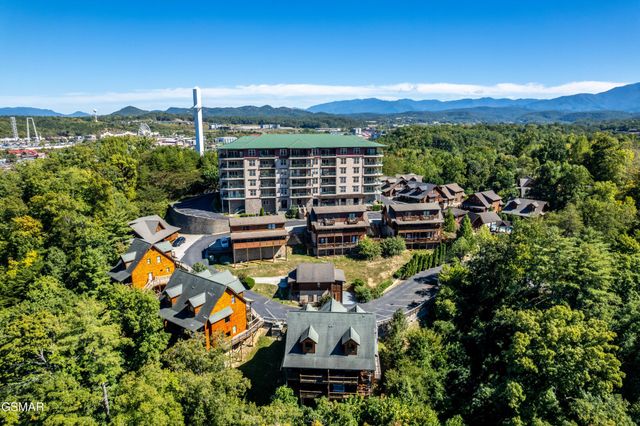 442 Big Bear Way, Pigeon Forge, TN 37863