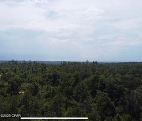 0 Edison Avenue, Alford, FL 32420
