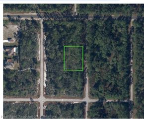635 BONANZA Avenue NW, Lake Placid, FL 33852