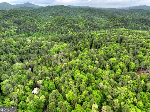 300 River Road, Cherry Log, GA 30522